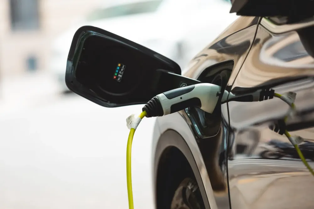 Borne électrique